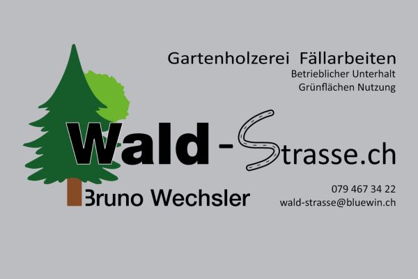 logo design CI CD fischer waldstrasse.jpg