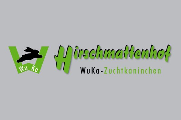 logo design CI CD WuKa.jpg